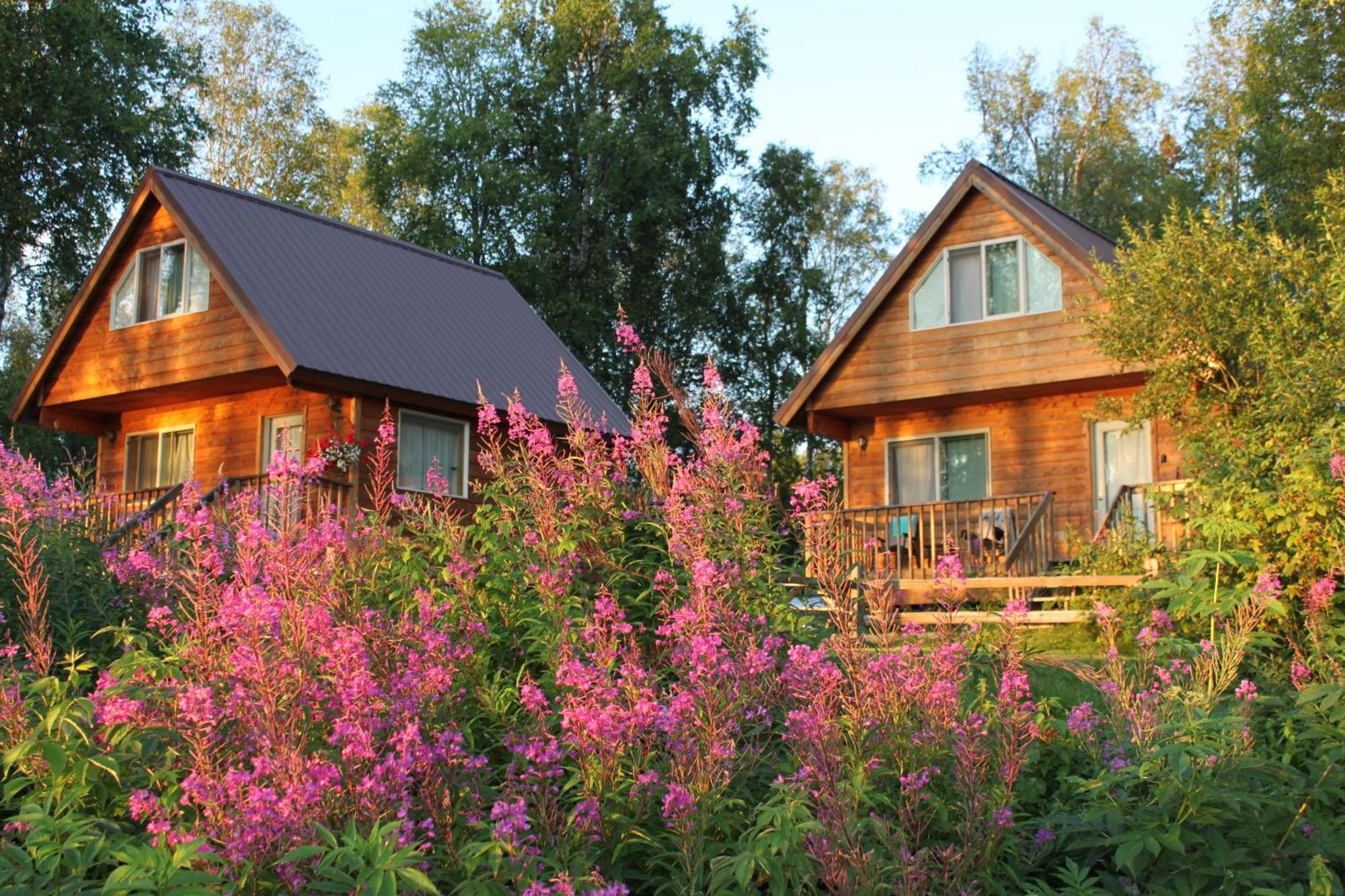 Susitna River Lodging, Riverside Cabins 탈키트나 외부 사진