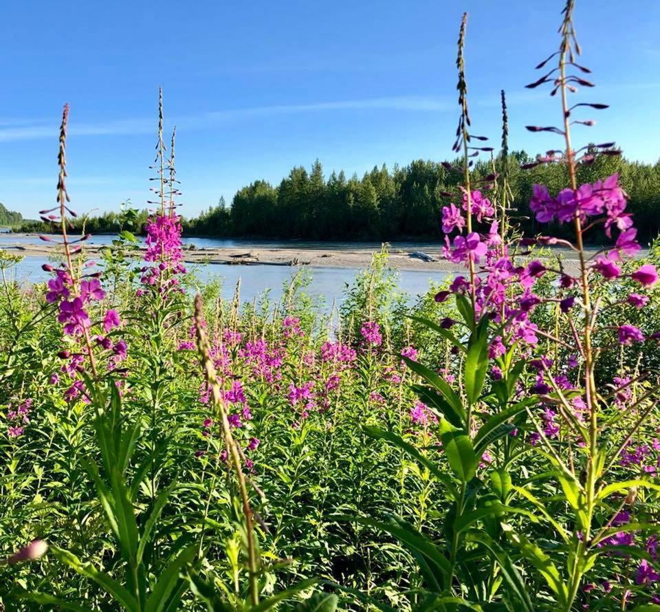 Susitna River Lodging, Riverside Cabins 탈키트나 외부 사진